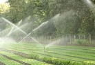 Nelselandscaping-water-management-and-drainage-17.jpg; ?>